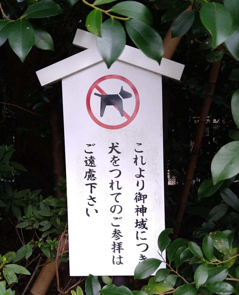 寒川神社で八方除け祈願 子どもは入れる 初穂料は 駐車場はある おうちごとノート